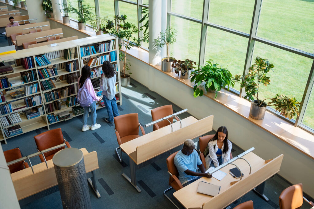 Website design for education and institutions