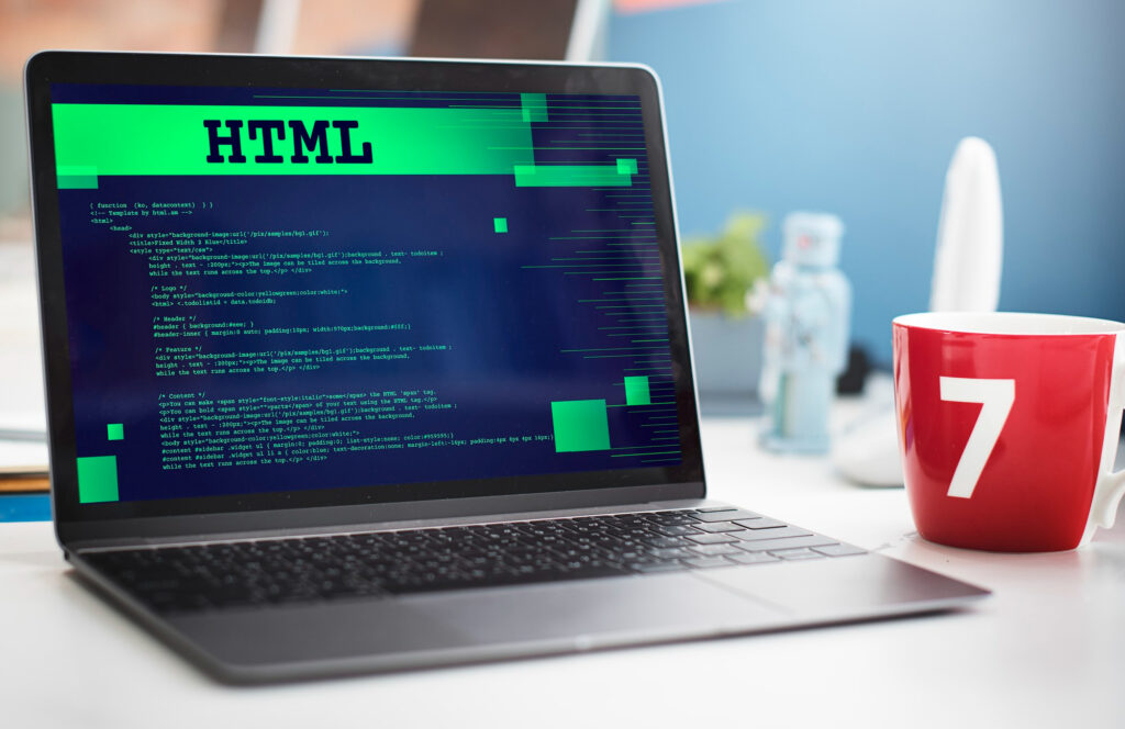 professional custom web developers creating scalable solution
