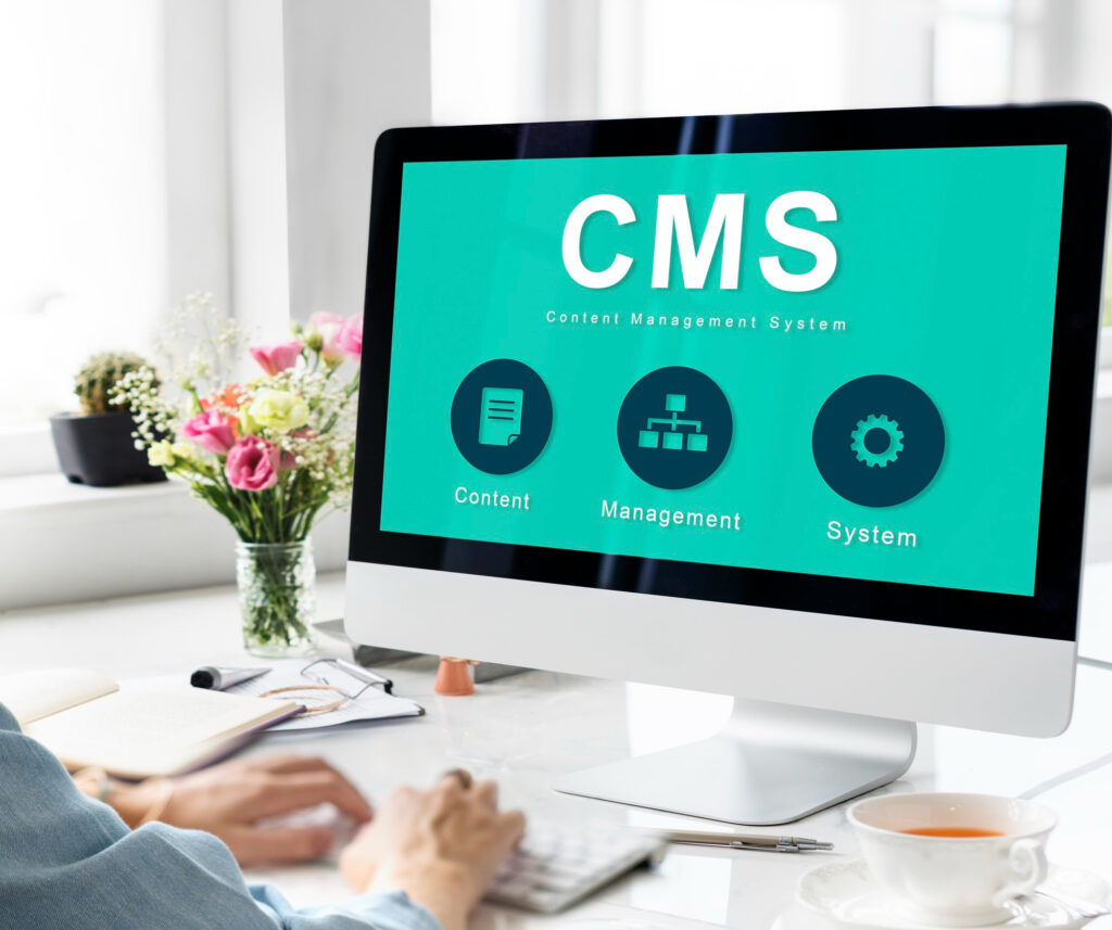 professional cms web design layout planning