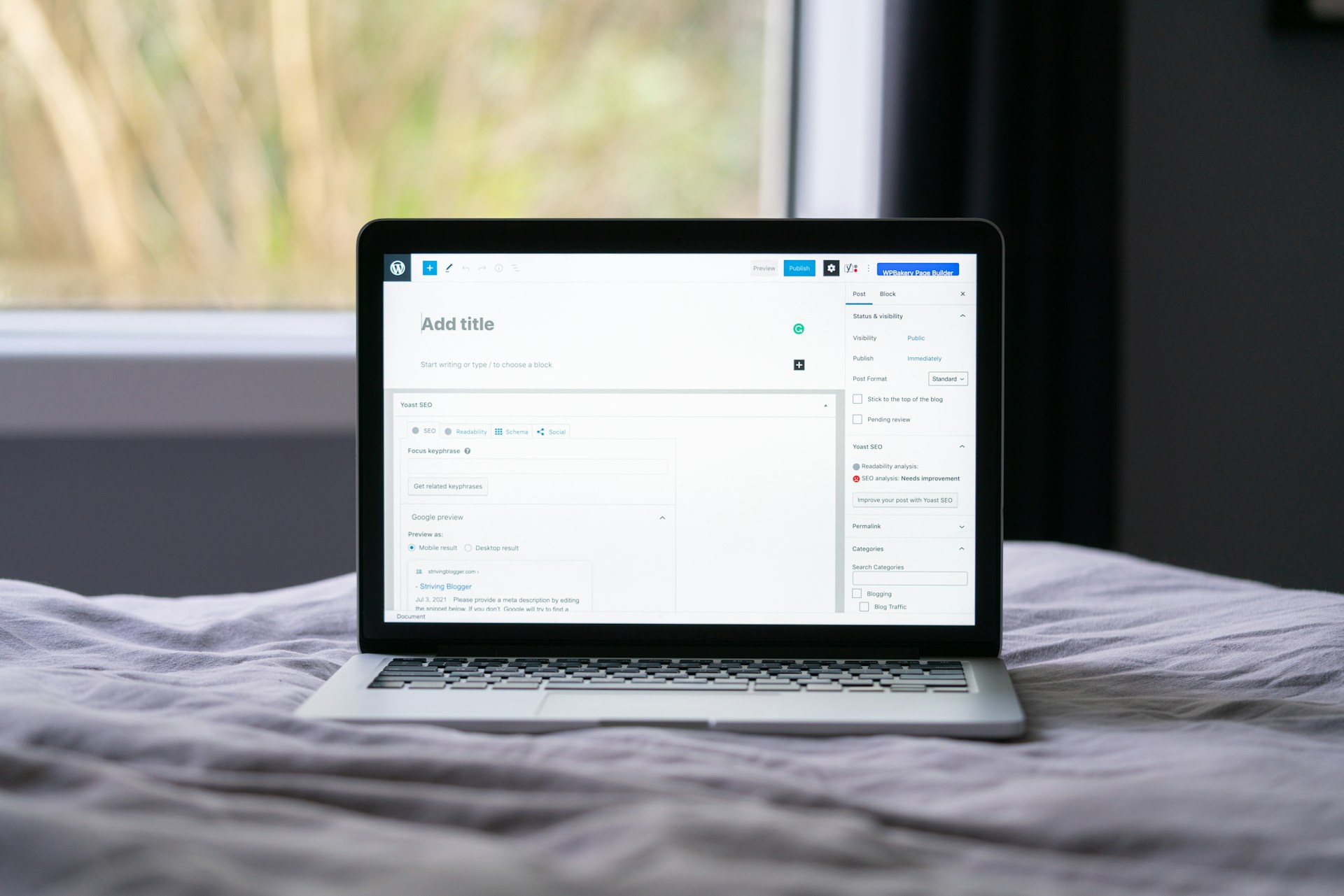 Professional WordPress development services for business websites