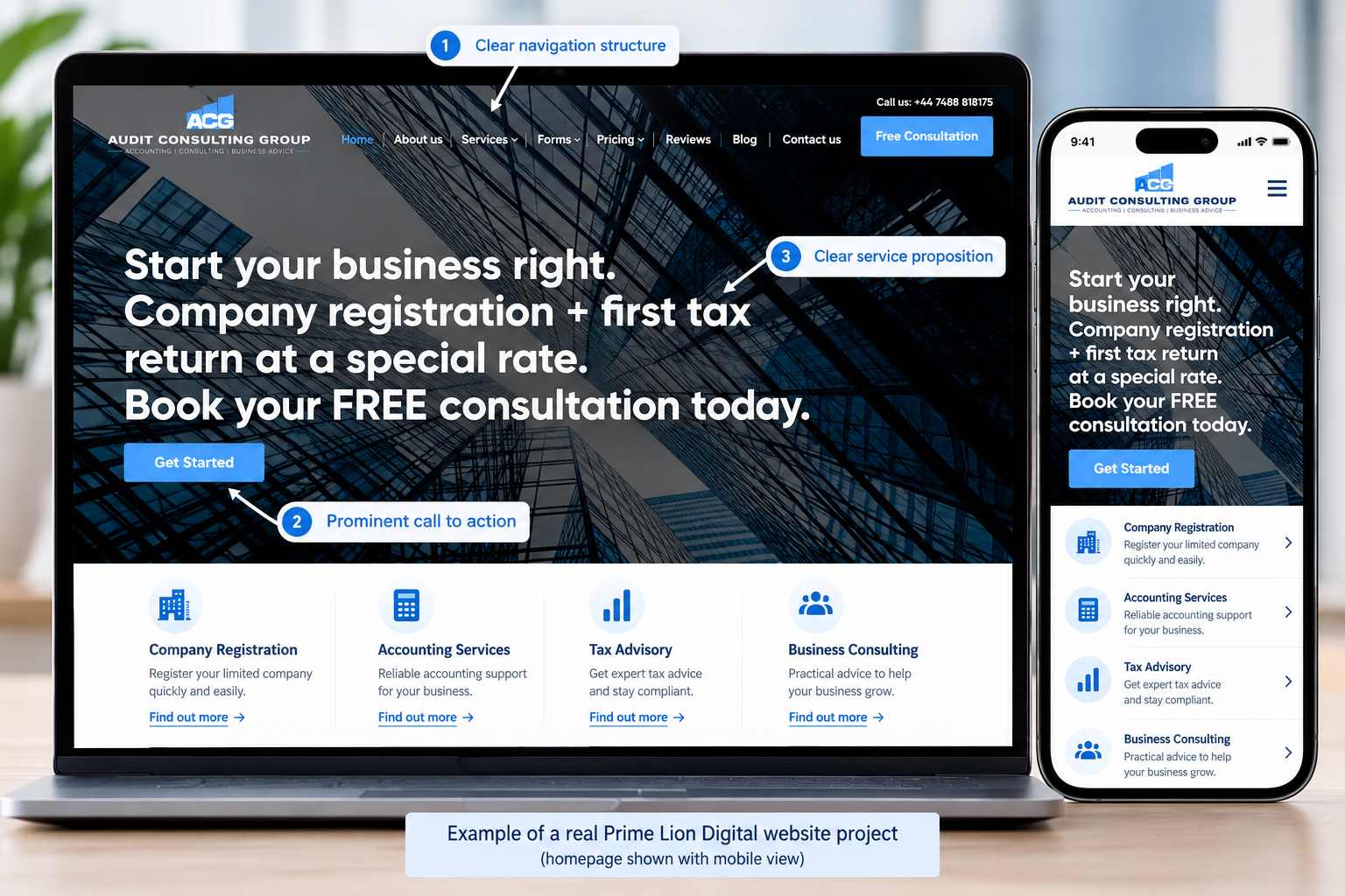 Audit Consulting Group website showing professional services navigation and page structure.